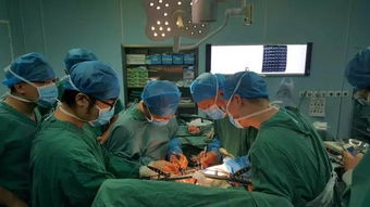 肝脏移植手术成功率高的医院